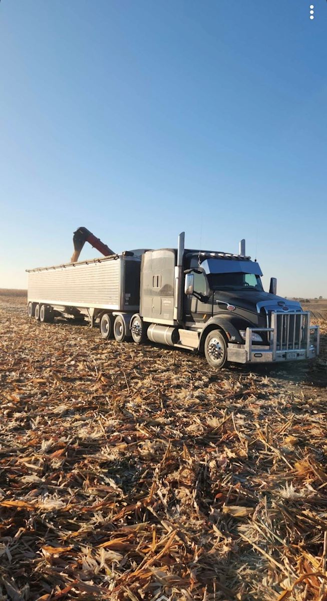 Bulk Load of Grain