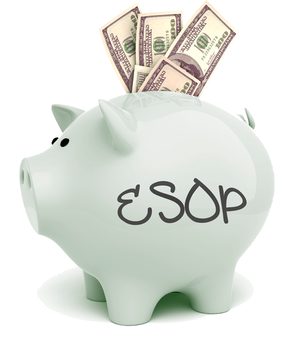 ESOP 101: Understanding the Basics of Employee Ownership