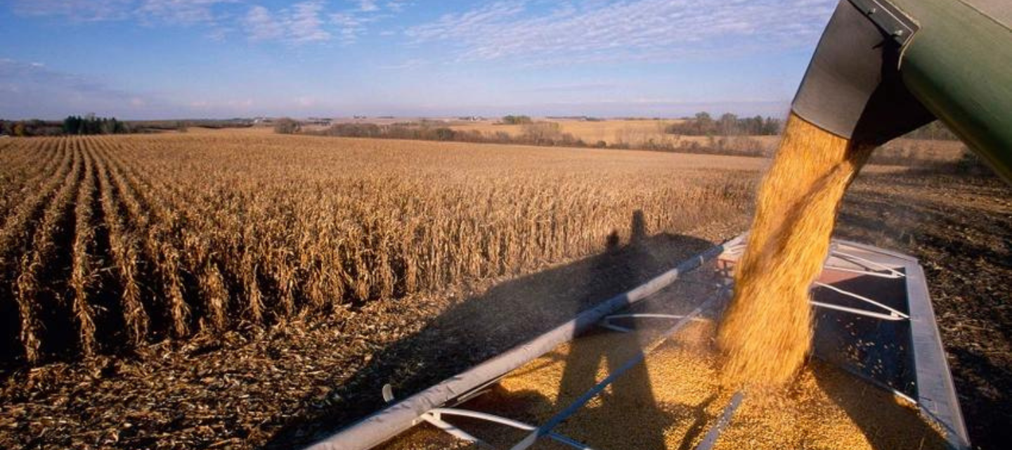 tractor/trailer being loaded with grain in a feild